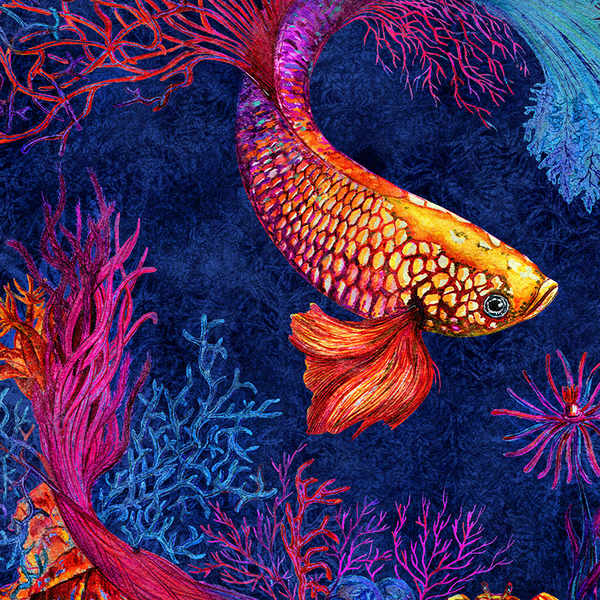CORALS